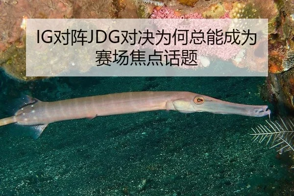 dui-zhen-dui-jue-wei-he-zong-neng-cheng-wei-sai-chang-jiao-dian-hua-ti-2-519.jpg